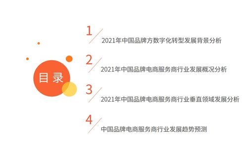 艾媒咨询 2021年中国品牌电商服务商行业研究报告